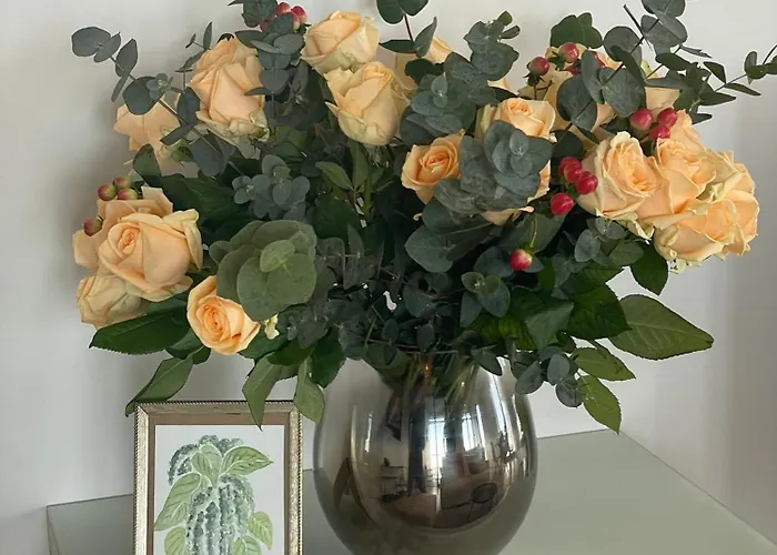 Amaranta By Bloss Ostend